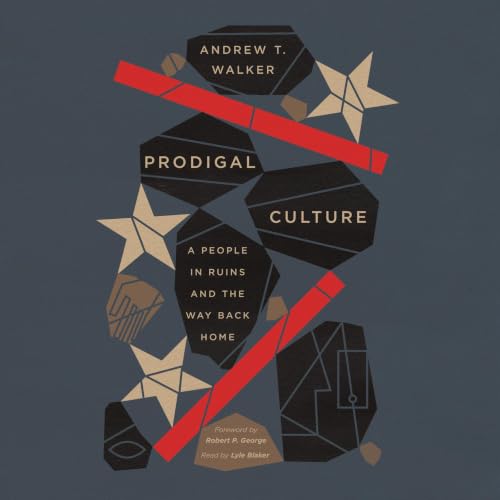 Couverture de Prodigal Culture
