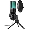 Coverzone Computer RGB Microphone 20-20kHz Professional Podcast Microphone Kit Plug and Play USB Wired Pc Vlog Youtuber Kick Live Broadcast X1R For Laptop