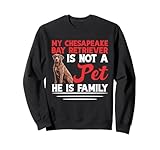 Photo Gallery duck hunter - famiglia proprietaria di cani chesapeake bay retriever felpa Photo Gallery duck hunter - famiglia proprietaria di cani chesapeake bay retriever felpa