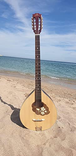 Irish Bouzouki #TOP15