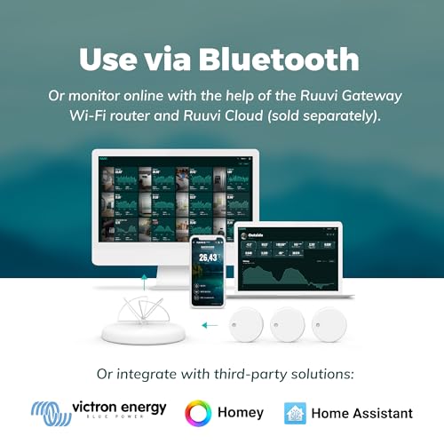 RUUVI Innovationen LTD Nuevo 2024-RUUVITAG Sensor (4 in 1) DRU-001 Other, Mehrfarbig, Einheitsgröße