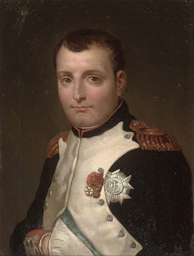 Tableaux peinture sur toile Napoléon SERENDIPITP cadeau d'exception