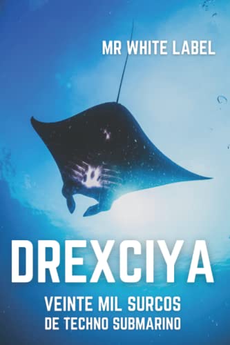 Drexciya: Veinte mil surcos de techno submarino