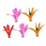 De sport pour les pieds - le volant est un traditionnel, c'est un bon outil pour exercer la force musculaire des jambes et la flexibilité, adapté à les âges, de fitness en plein air