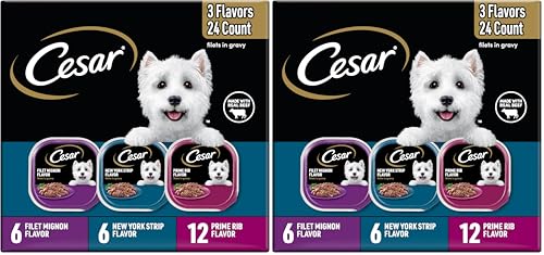 Cesar Filets in Gravy Adult Wet Dog Food Variety Package,Filet
