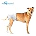 Paw Inspired 32ct Disposable Dog Diapers | Female Dog Diapers Ultra Protection | Diapers for Dogs in Heat, Excitable Urination, or Incontinence (Medium Plus)