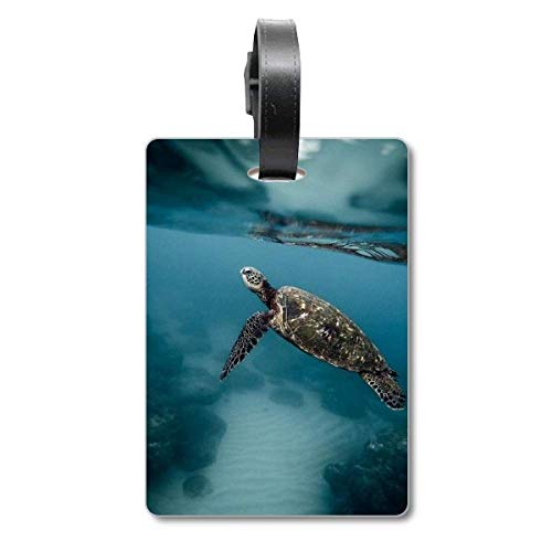 Étiquette de valise Ocean Sea Turtle pour ne plus perdre votre bagage