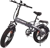 La Fat bike elettrica è dotata di trasmissione professionale Shimano a 7 velocità, regolabile in base alle esigenze. I freni a disco anteriore e posteriore possono frenare in modo rapido e stabile, durante la frenata di emergenza per garantire una guida sicura. Batteria nascosta nel telaio, rimovibile, con assorbimento degli urti, può prolungare la vita della carrozzeria e rendere la guida più facile e confortevole.