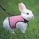 LuLiyLdJ Rosa Hasenleine, Zwergkaninchen Zubehör, Kaninchen Leine, Hasenspielzeuge für Kaninchen mit Elastischer Haustier Joggen Geschirr Leine (M)
