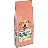 Las croquetas de Purina Dog Chow están especialmente diseñadas para fomentar la masticación y mantener una correcta higiene oral