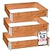 Garronda naturbelassene Hochbeete für Garten Palettenrahmen 120x80x20 cm Hochbeet Holz 3 Stück steckbar stapelbar faltbar für Pflanzen Blumen Kräuter Obst und Gemüse Braun GD-0075