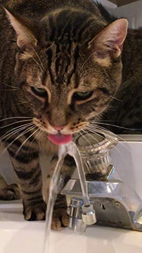 Kwik Sip Brass In Home Faucet Attachment Water Fountain