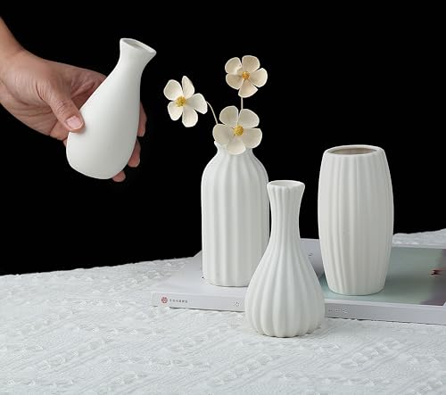 Mejores precios y opiniones de Juego jarrones disponible en línea. 14 Imagen adicional