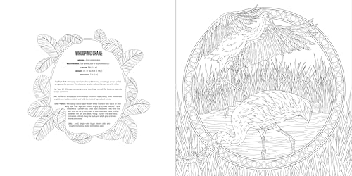 Animals: A Smithsonian Coloring Book Box Set - Image 8