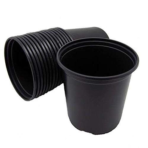 Set of 10 black colour 5" plastic pots Amazon.in
