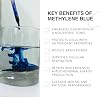 BACTERIOSTATIC Light Blue Leucomethylene Methylene Blue 4oz with Asorbic Acid 1% Solution -Reduced Form of The Methylene Blue with Higher Bioavalibility, Color Same Potency