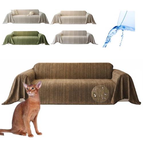 Lifetips ArVjA Abyssinian \t@[Jo[ k  􂦂 h }`Jo[ 2l| 3l| It IȂ ~ Eh~ LΉ lGʗp iuEj i300180CMj