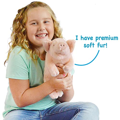 Viahart Perla The Pig - 10 Inch Stuffed Animal Plush Piglet - By Tiger Tale Toys #TOP1