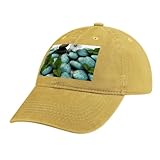 Taille unique : tour de tête : 57-60 cm, hauteur du chapeau : 16 cm, bord : 16 cm. Le design dos nu s'adapte confortablement aux queues de cheval basses des femmes. Coutures renforcées professionnellement ourlées, légères mais durables, ce qui permet à la casquette de baseball de garantir une utilisation à long terme.