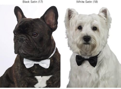 Aria Buddy Bowtie Formal