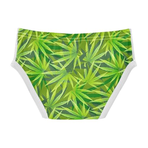 visesunny Boys Cotton Underwear Green Leaf Printed Toddler Soft Training Briefs Size 2T-8Y for Kids2