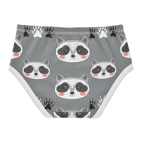 Girls Underwear Toddlers 2t Cotton Panties Little Girl Designer Undies Kids Briefs Cute Raccoon Gray2