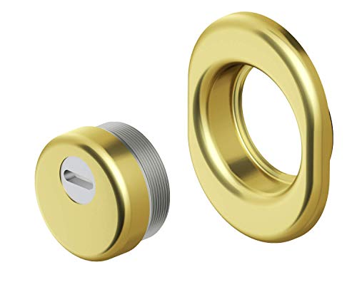  PROTETTORE DISEC MOD. KRIPTON H.25mm CR ARTICOLO BKD250-25D1AC