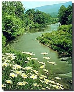 Eastern River Trees Scenic Landscape Nature Wall Decor Art Print Poster (16x20)