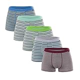 Men's Luxury Bamboo Boxer Underwear Ultra Soft and Breathable Stripes Boxer Briefs 5 Pack (L)
