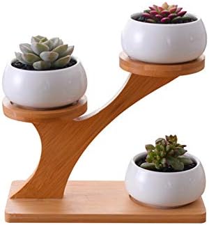 Plant Stand 3 Tier Bamboo Flower Pot Holder with 3 Ceramic Succulent Plant Pots Display Potted Rack for Home Garden Office Desktop Decoration