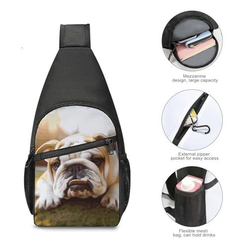 Morrales de senderismo casual con mascota perro bulldog miniatura 5