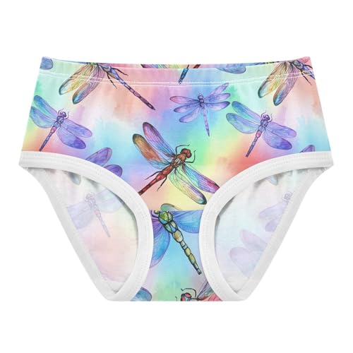Color Dragonfly Toddler Girls's Underwear 2T 202c1904h