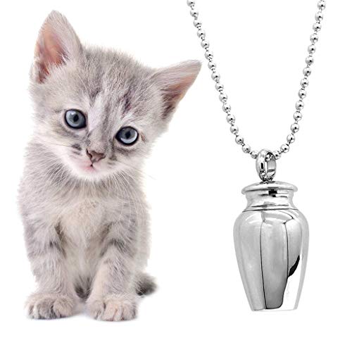 YRCHENGLI Colar com urna memorial de cinzas para animais de estimação em aço inoxidável com pingente