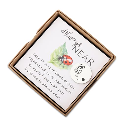 CENWA Loss of A Loved One Ladybug Memorial Gift - Ladybug Token & Wish Jewelry2