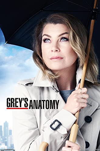 Grey's Anatomy Season 12 - One Sheet Wall Poster, 34L x...