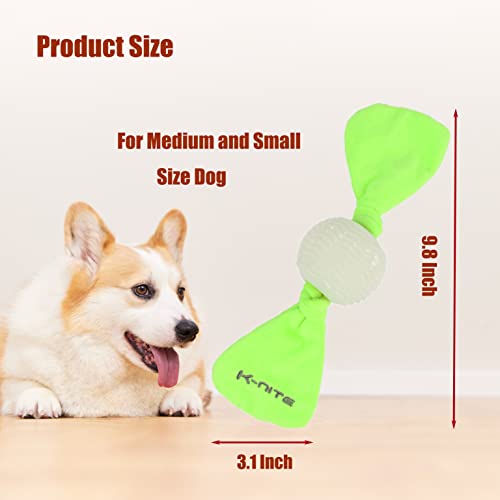 Diwandong Glowing Floppy Ball For Dog - Glowing Bow Dog Toy - Fluorescent Green Color,Glow In Dark - Outdoor And Indoor, Day And Night - Medium 9.8" For Small And Medium Size Dog #TOP2