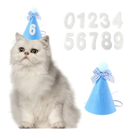 KALOLINNA  a L aXq 2_Zbg aObY L̂߂̃ybg̒api HAPPY BIRTHDAY ybg av[g  _炩 t^I Xq lN^C X^C  ߉\ybg  o[X