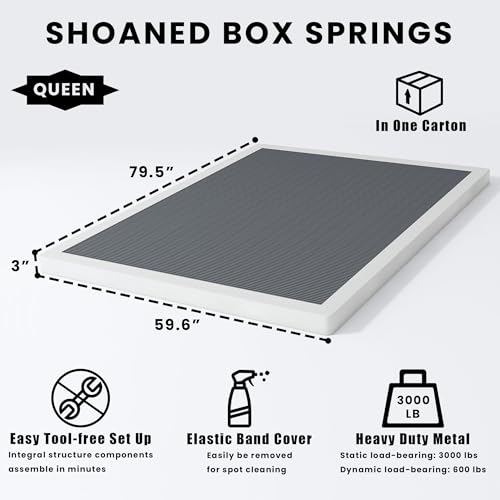 Queen Size Box Springs
