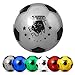 Best Sporting PVC-Ball Fun I Leichter Spielball I silberner Fußball I hochwertiger Wasserball I 23 cm großer Beachball I bunter Ball mit Best Sporting Logo I Gummiball I Ball Kinder