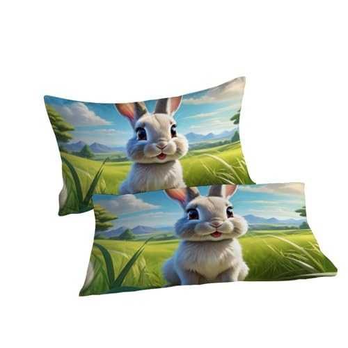 Housse de couette lapin hypoallergénique parure de couette microfibre lit double