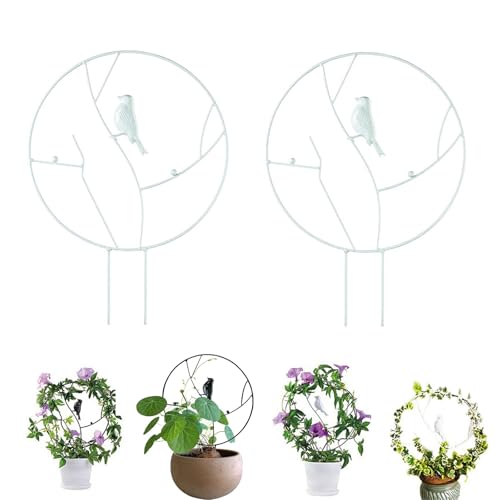 FADZECO 2{ IxXN  gsA[XebN ~jIxXN A̐A gX o gsA[ ΂ KN N}`X  K[fjO K[f 鐫A  | Aؔ x A A ԉ ؉p K[fgX