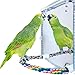 Bird Mirror with Rope Perch Cockatiel Mirror Parrot Swing Toys Parrot Cage Toys for Parakeet Cockatoo Cockatiel Conure Lovebirds Finch Canaries (Stainless Steel Mirror,Large)