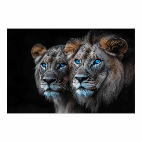 Poster deux lions aux yeux bleus TERUEA 70x100cm art moderne sans cadre
