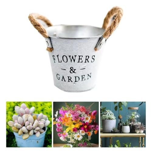 Seaux de fleurs en fer pour plantes succulentes (5 pièces) - 5