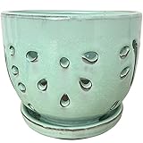 Better-way Orchid Pots with Holes Round Ceramic Flower Container Succulent Plant Planter Butterfly Pot Saucer Windowsill Contemporary Home Decoration (6 Inch, Light Green)