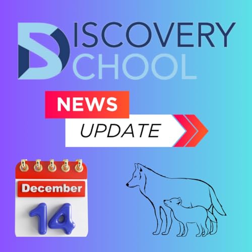 December 14 - 20, 2025