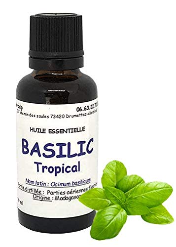 Huile essentielle de Basilic tropical (30 ml)."Ocimum basilicum" Cover