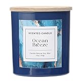 Ocean Breeze Candle,Spring & Summer Scented Candle,Natural Soy Wax Candles for Home Scented,Candle Gift for Women Men,11 oz