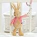 Rainbow Designs, Flopsy, coniglietto tremolante di peluche stile Beatrix Potter per bambini, giocattolo che si può attaccare