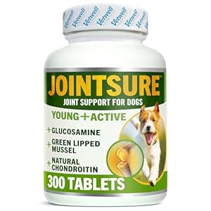 JOINTSURE YOUNG & ACTIVE Joint Supplements for Dogs and Puppies – Pack of 300 Tablets – Supports Mobility and Prevents Joint Stiffness – High Levels of Glucosamine & Green Lipped Mussel